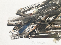 Detail: Schnauze